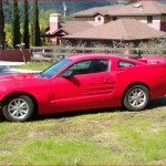 ugliest mustang ever (1)