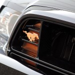 bad penny ford mustang classic design concepts (8) bad penny ford mustang classic design concepts (8)