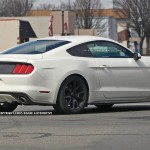 2015_Ford_Mustang_anniversary_edition (2)