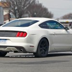 2015_Ford_Mustang_anniversary_edition (3)