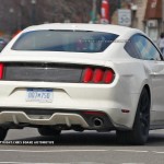 2015_Ford_Mustang_anniversary_edition (4)