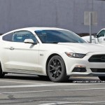 2015_Ford_Mustang_anniversary_edition (8)