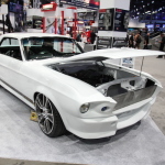 IMG_5656 copy IMG_5656 copy