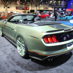 IMG_5769 copy IMG_5769 copy