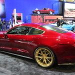 IMG_5783 copy IMG_5783 copy