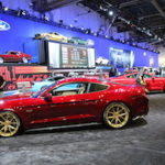 IMG_5784 copy IMG_5784 copy