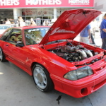 IMG_5907 copy IMG_5907 copy