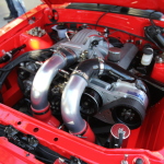 IMG_5908 copy IMG_5908 copy