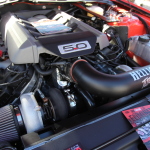 IMG_5929 copy IMG_5929 copy