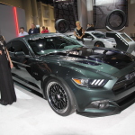 IMG_6013 copy IMG_6013 copy