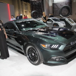 IMG_6013 copy IMG_6013 copy