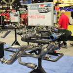 IMG_6173 copy IMG_6173 copy