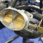 IMG_6178 copy IMG_6178 copy